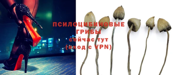 ECSTASY Абаза