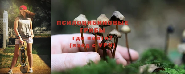 ECSTASY Абаза