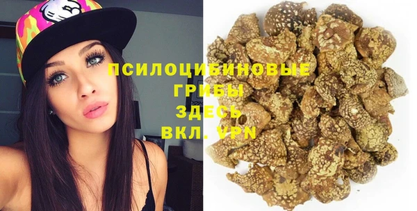 ECSTASY Абаза