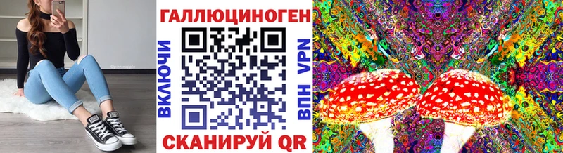 сколько стоит  OMG зеркало  Псилоцибиновые грибы Psilocybe  Емва 